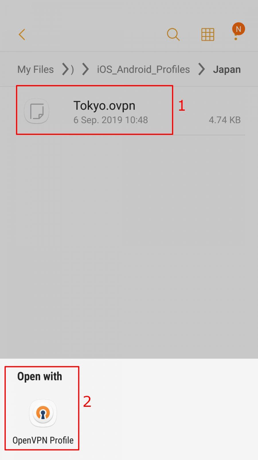 android openvpn import with openvpn connect