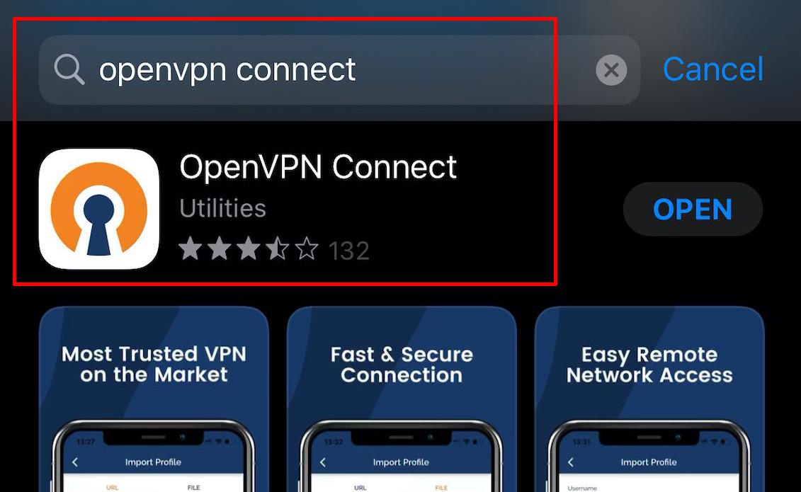 ios openvpn connect app store