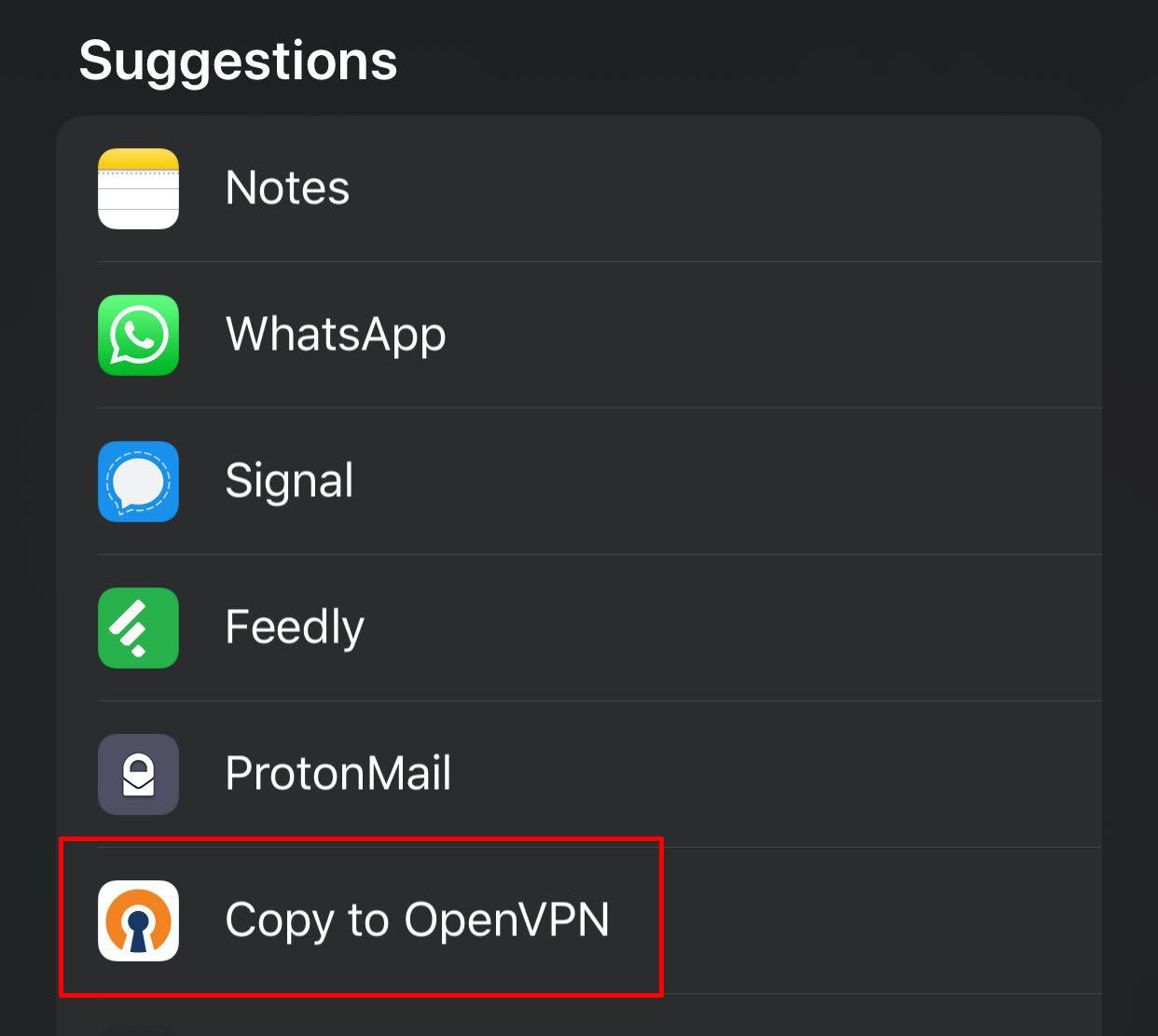 ios openvpn connect copy to openvpn